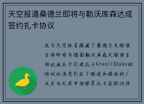 天空报道桑德兰即将与勒沃库森达成签约扎卡协议